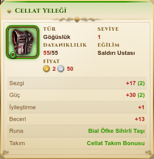Rün yerleştirilmiş eşyanın bilgi penceresi